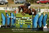 Arlo de Blondel lors du Championnat des 6 ans en 2016. Arlo de Blondel lors du Championnat des 6 ans en 2016.